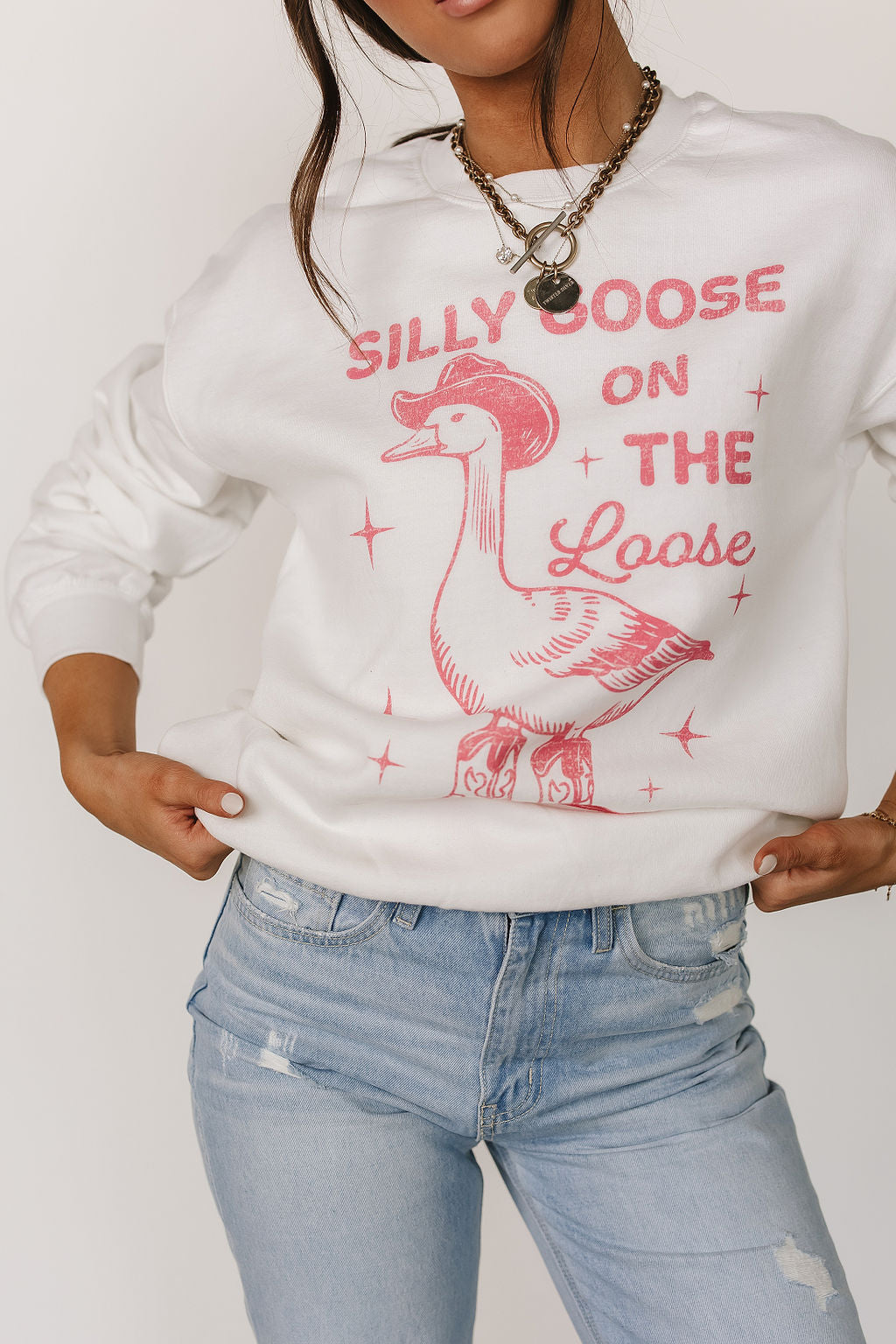 Silly Goose Pullover